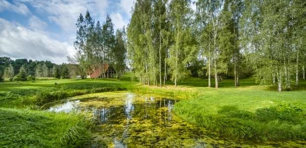 <p>Brīvdienu māja atrodas Braslas upes labajā krastā. Tā iekārtota tā, lai baudītu atpūtu iekštelpās, pirtī un āra terasē. Teritorijā ir skaistas pastaigu takas gar Braslas upi līdz pat pazemes ezeriem. Ir iespēja izmēģināt veiksmi makšķerējot vai ziemas spelgonī ievingrināt soli slēpošanā.</p>
