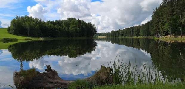 <p>Z/S Ūdensrozes nodarbojās ar zivju audzēšanas pilnu ciklu, no nārsta līdz izaudzēto zivju realizēšanai.&nbsp;</p>