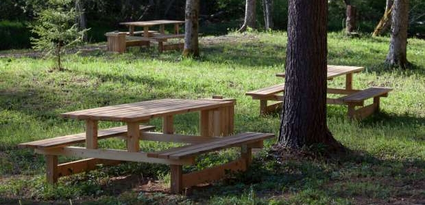 <p>Atpūtas vieta un laivu noma BRASLAS PRIEDES.&nbsp;</p>